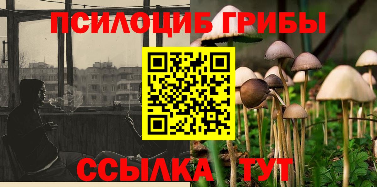 Галлюциногенные грибы Psilocybine cubensis  Вход с VPN  Александров  Псилоцибиновые грибы Psilocybe 